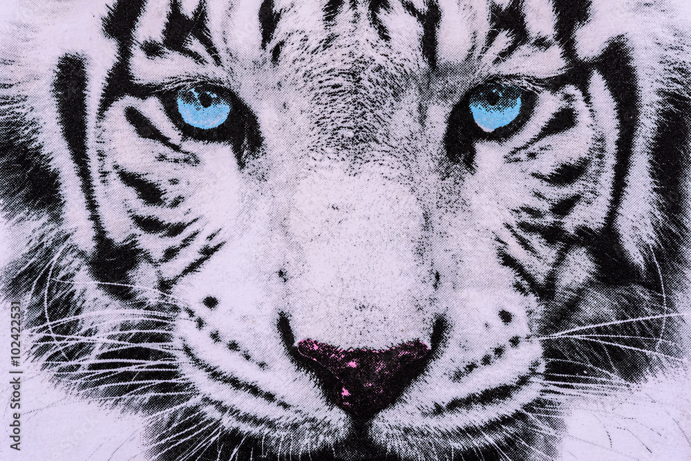 Obraz premium tekstura tkaniny w paski pasowała do białej twarzy tygrysa
