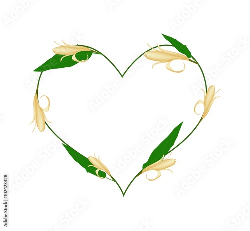Yellow Michelia Alba Flowers in A Heart Shape
