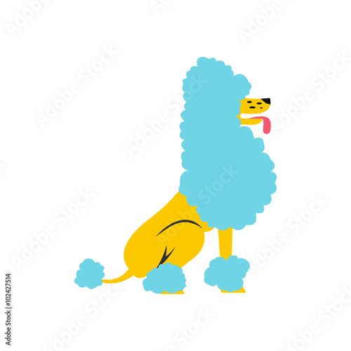 Circus poodle flat illustration