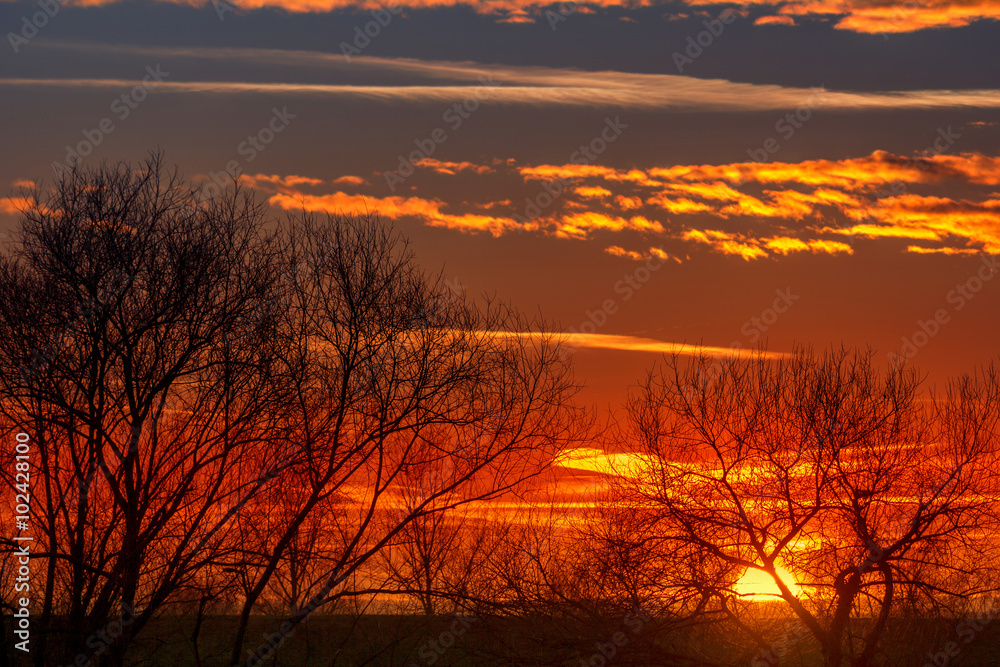 Obraz premium Sunset with silhouette trees