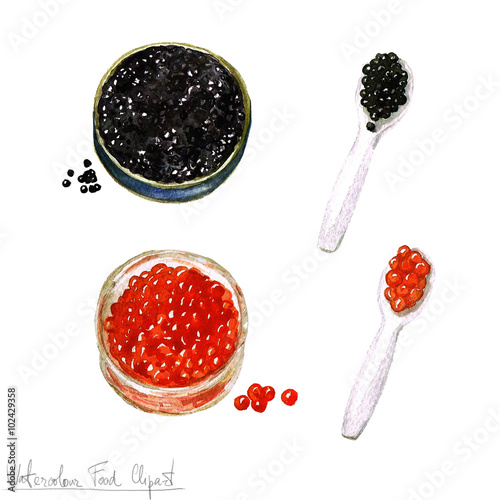 Photo Watercolor Food Clipart - Salmon roe and Sturgeon caviar
