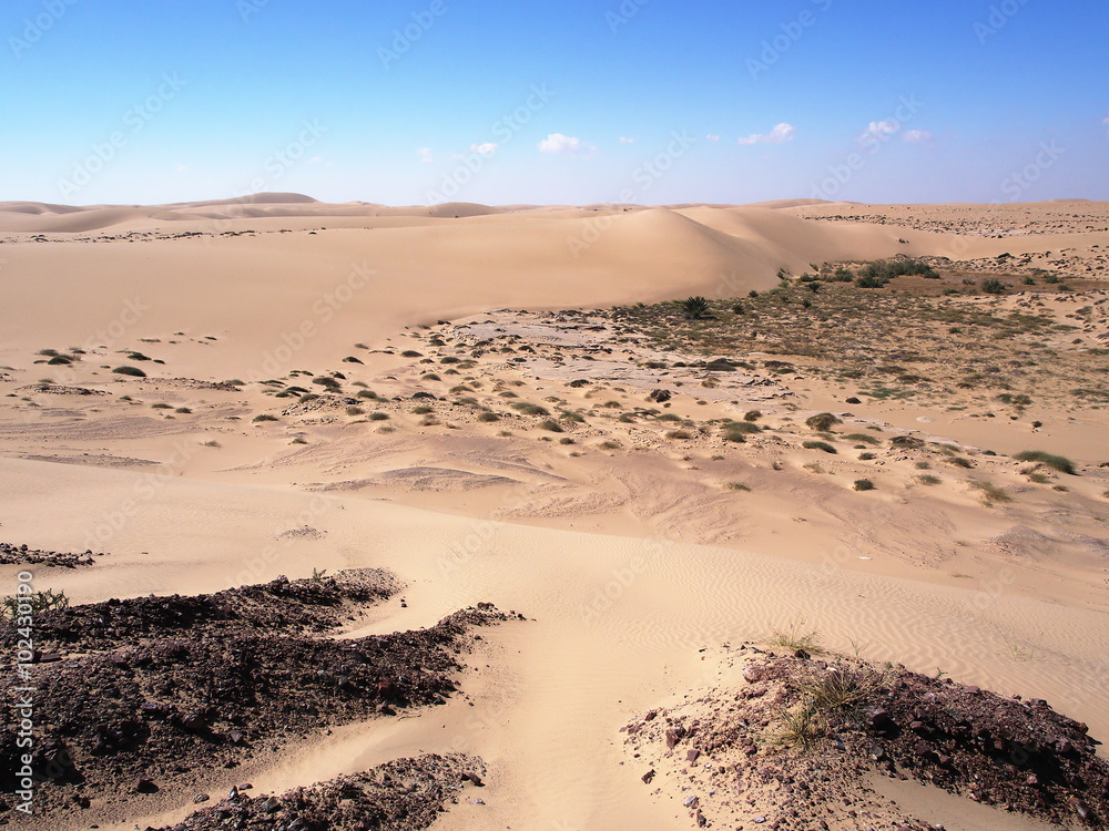Dunes between Shannah and Al Ashkharah