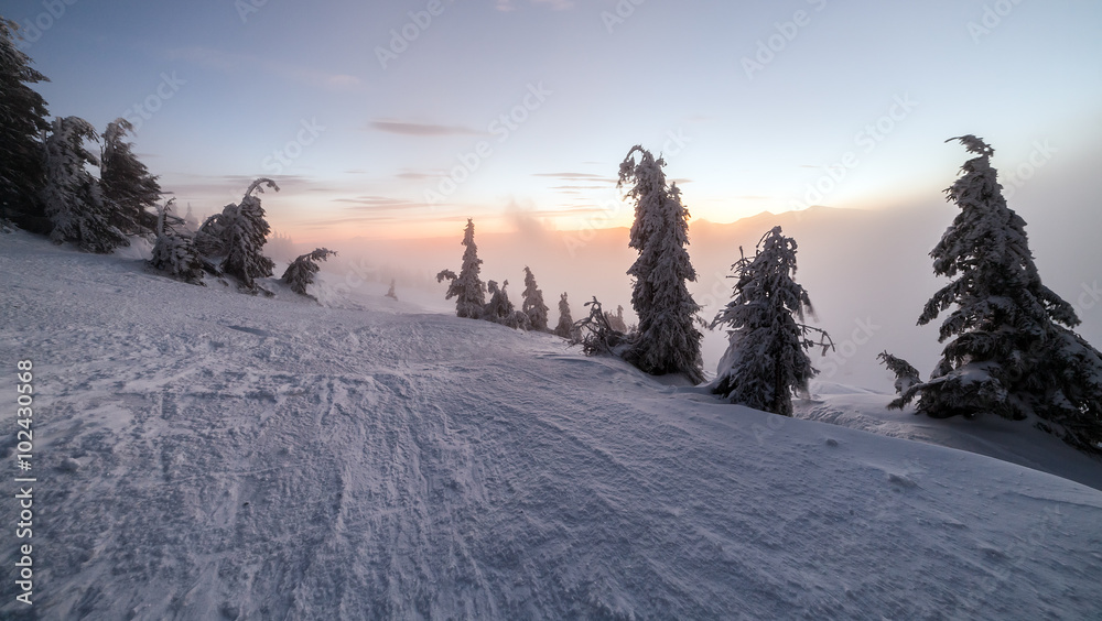Obraz premium Winter landscape. Sunrise in the mountains. Beautiful World. Christmas scene. Carpathians, Ukraine, Europe