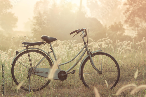 bike on a grass flower in the morning