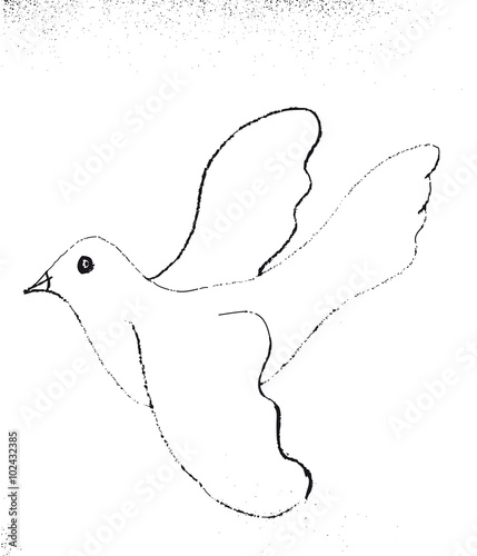 Friedenstaube - Symbol des Friedens, weiße Taube, Radierung