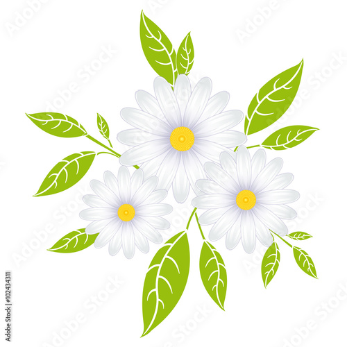 Gänseblümchen Symbol