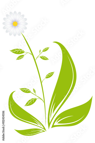 Margerite Gänseblümchen Symbol Silhouette