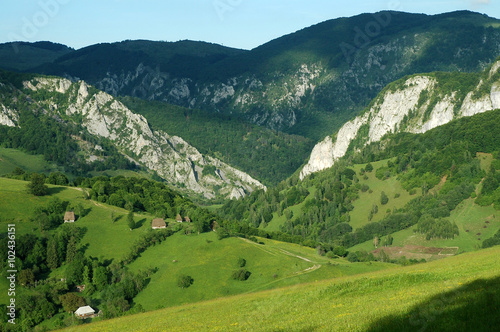 Spring landscape in the mountains