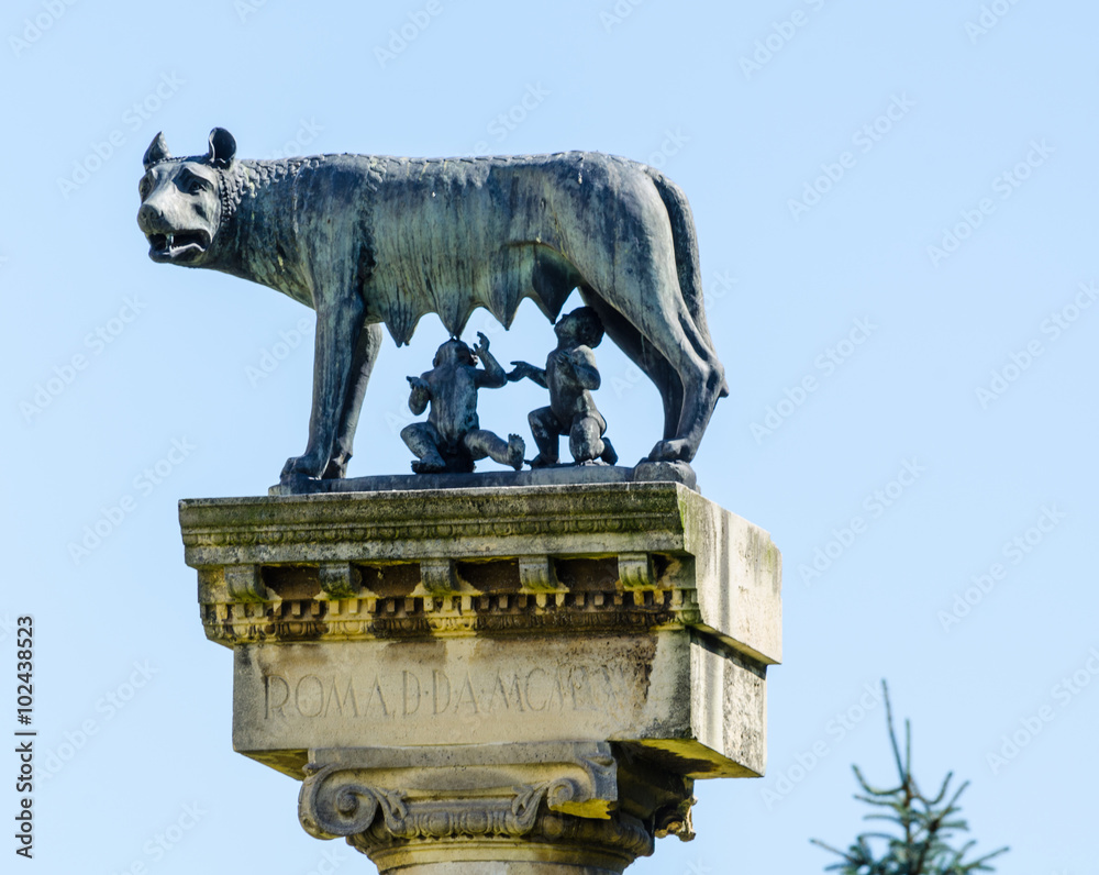 Replica of the Capitoline Wolf situated in romanian timisoara, a bronze ...
