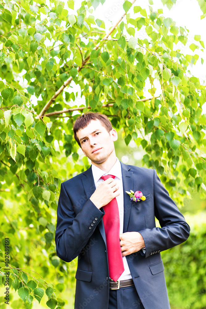 groom in the wedding suit. Groom waiting his bride groom in the wedding suit. Groom waiting his bride