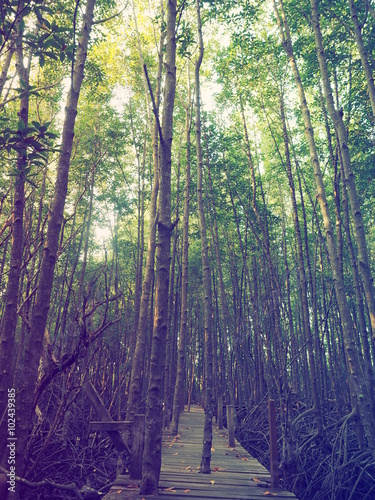 Wild by nature. photo