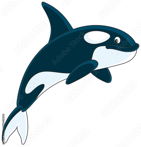 orca