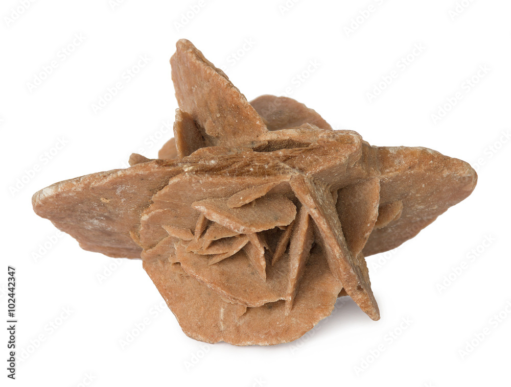 Desert rose. Rock composed of gypsum, water and sand, formed in the deserts.  The desert rose