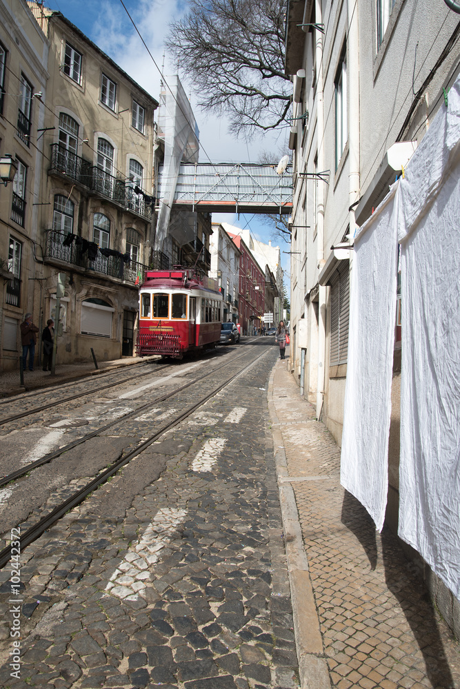 Fototapeta premium Streetcar rails in Lisbon, Portugal.