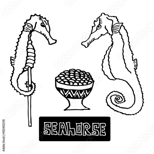 seafood dried seahorse and the seahorse caviar, a delicacy