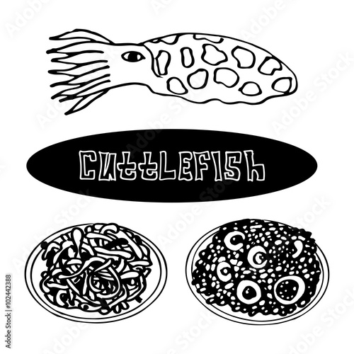 a set of sea delicacies from cuttlefish. risotto and pasta with cuttlefish