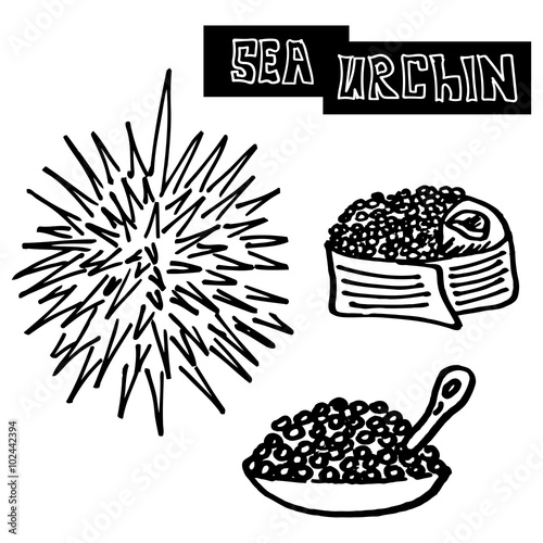 seafood sea urchin, caviar and sea urchin sushi. specialty food, luxury food