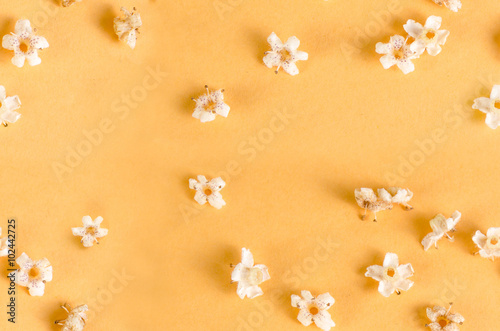 small white flowers tileable