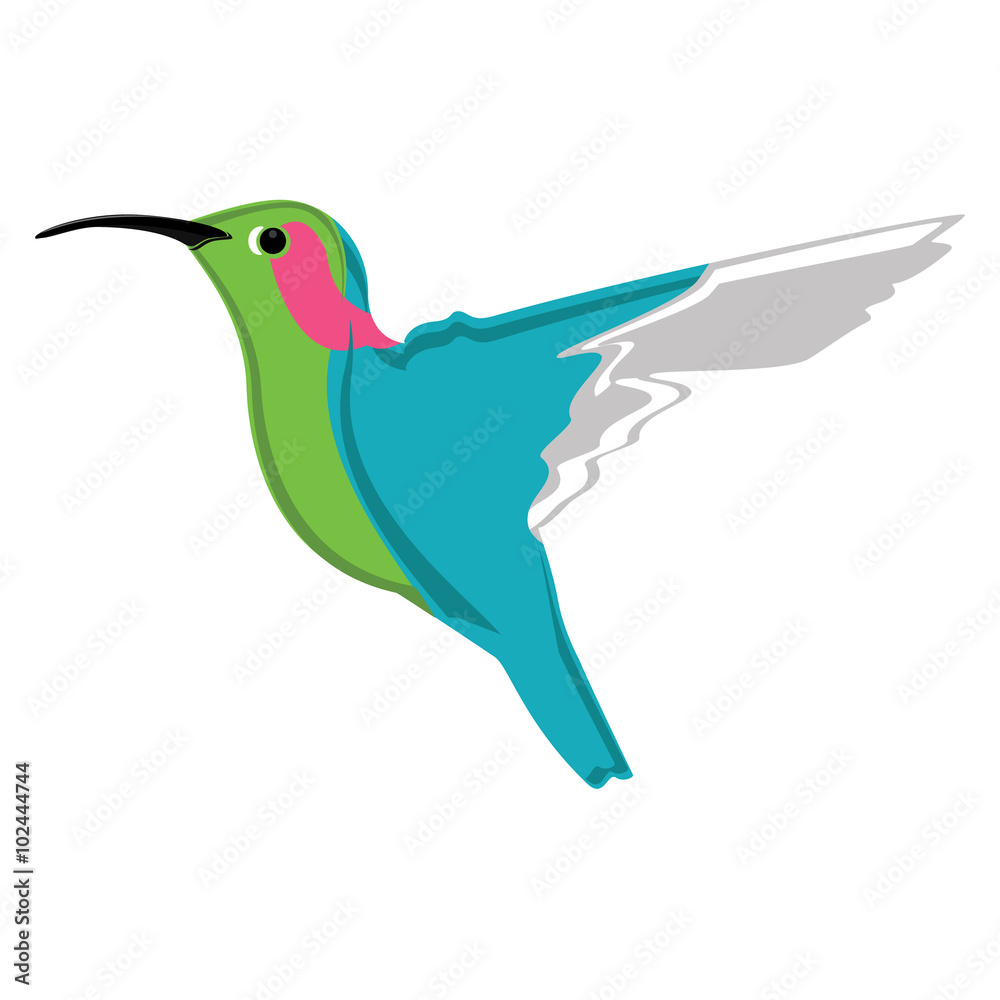 Obraz premium Small exotic hummingbird