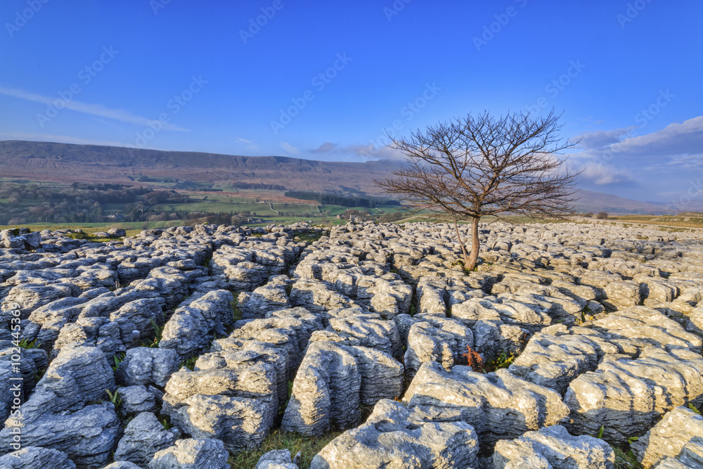 Limestone Pavement in the yorkshire dales