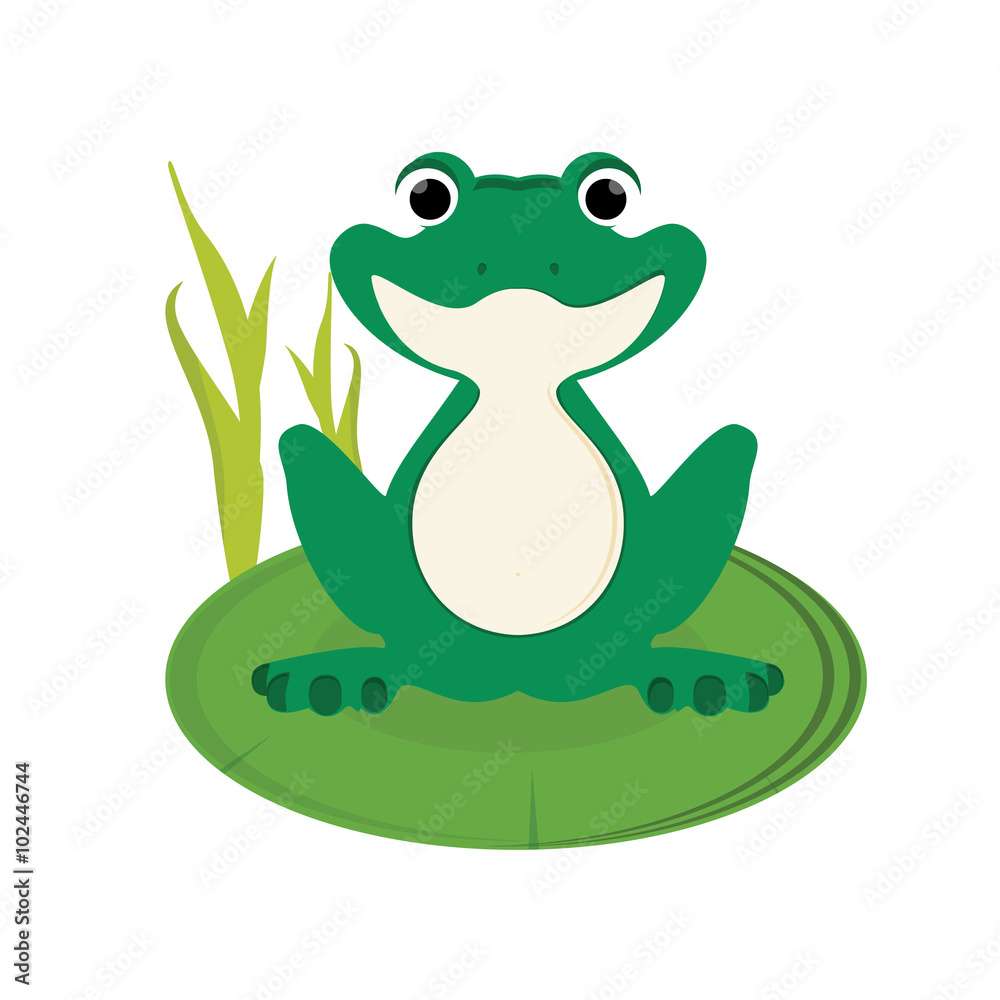 Green frog vector