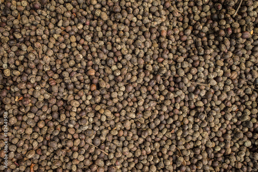 A pattern formed by a pile of tea seeds. A pattern formed by a pile of tea seeds.