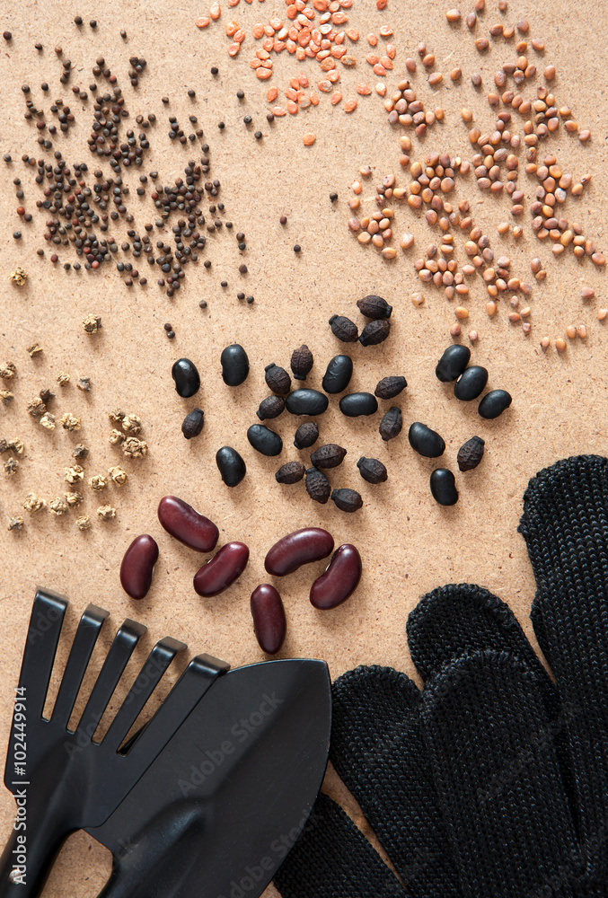 A lot of vegetable seeds, shovel, rake and black garden gloves, top view  Stock-Foto | Adobe Stock