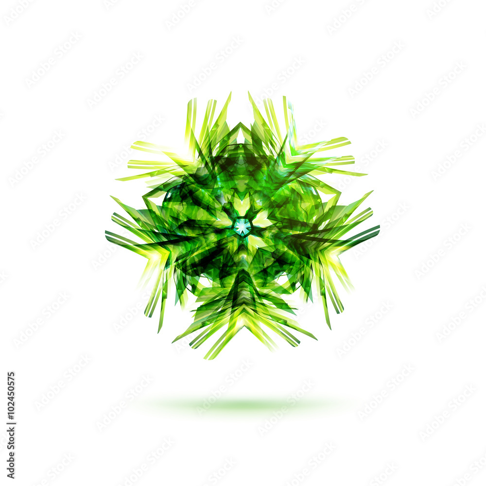 Fototapeta premium Bigest very complex star Logo