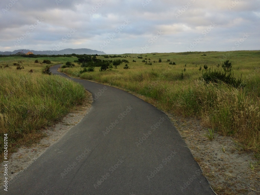 A biking and walkinf trail through seagrass in the early evening