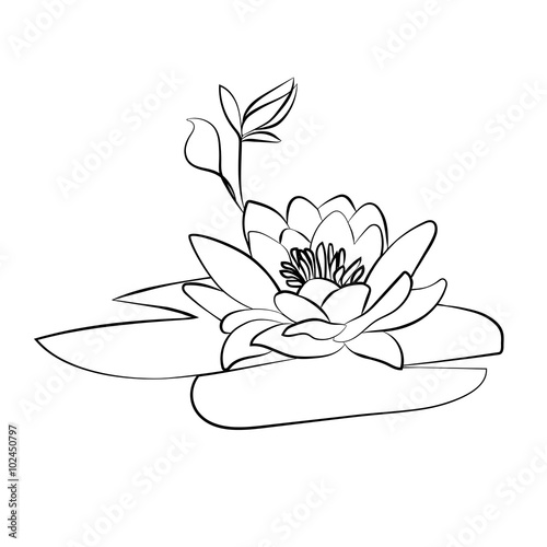 lotus flowers icon