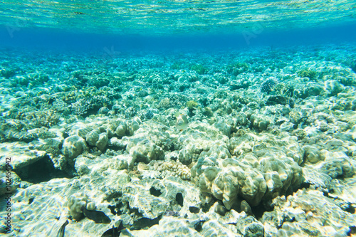 Tranquil underwater