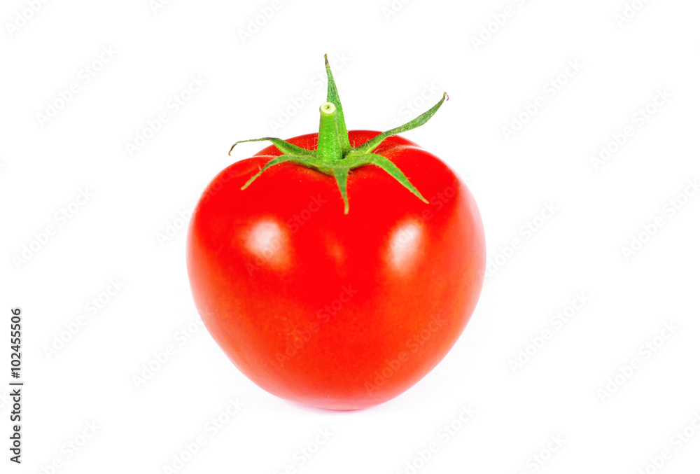 tomatoes tomatoes