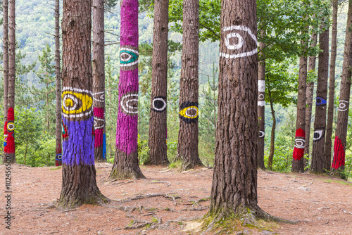 Obraz na płótnie El bosque de Oma, Reserva de la Biosfera de Urdaibai, Vizcaya (España) w salonie
