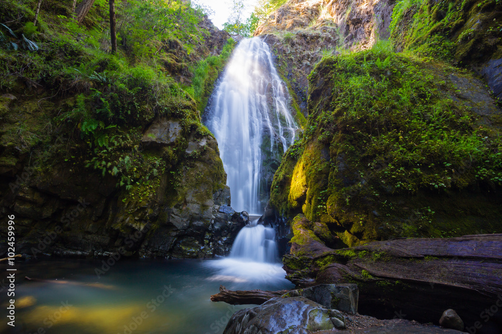 Fototapeta premium Susan Creek Falls Oregon