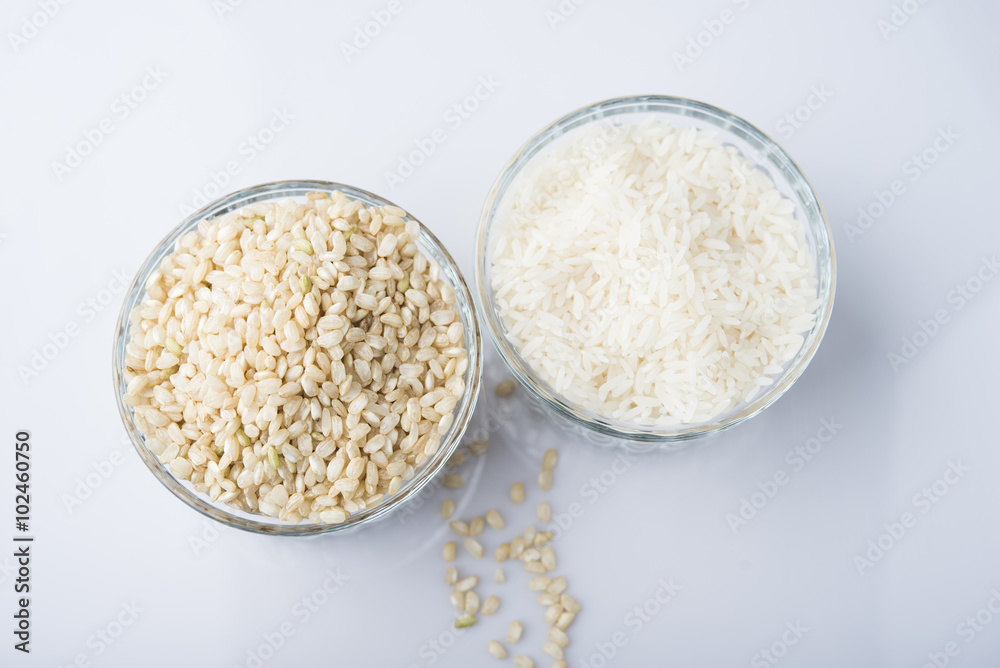 rice bowl rice bowl