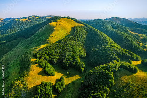 Helicopter aerial photo of the forest on the plateau on the mountain in Montenegro.