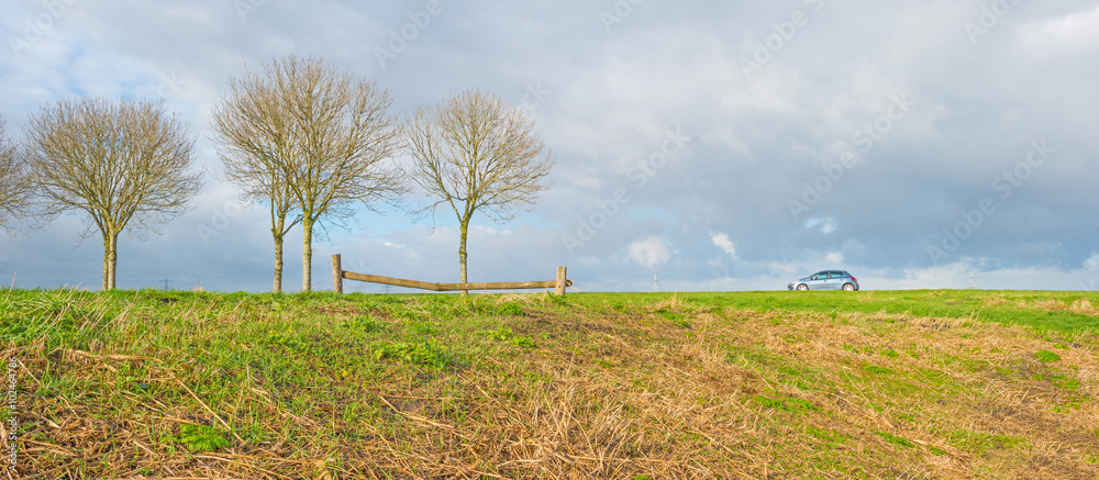Obraz premium Row of trees in a cloudy sky in winter