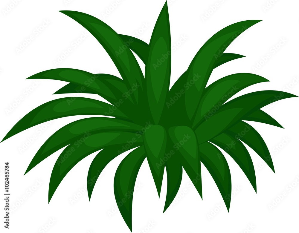 vector palm leaf vector palm leaf
