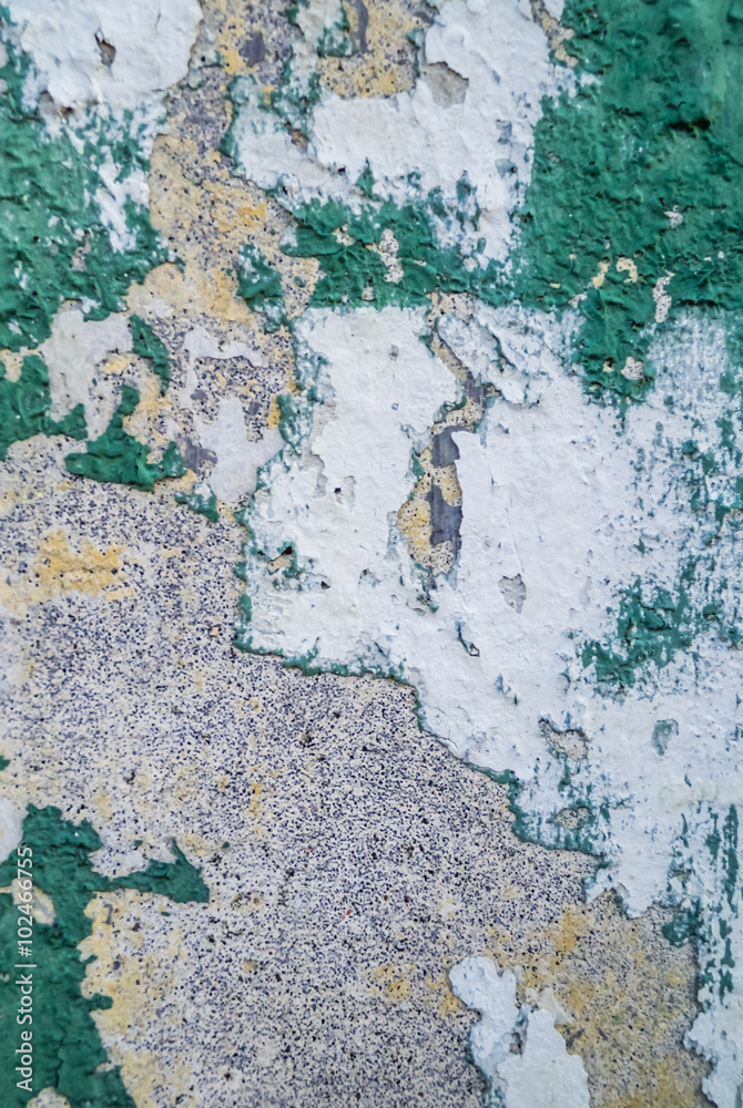 Fototapeta premium Green grunge wall texture