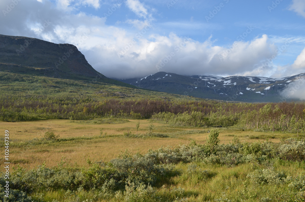 View on subarctic tundra and beech forest in Swedish Lapland