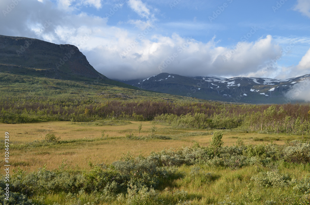 Fototapeta premium View on subarctic tundra and beech forest in Swedish Lapland