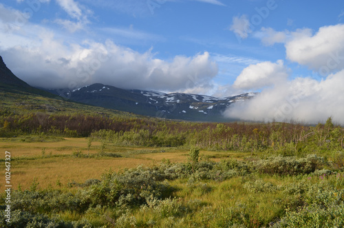 View on subarctic tundra and beech forest in Swedish Lapland