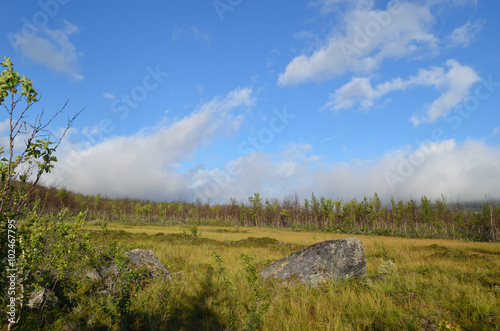 Granite rock in marsh surrounded by beech forest in subarctic Swedish tundra