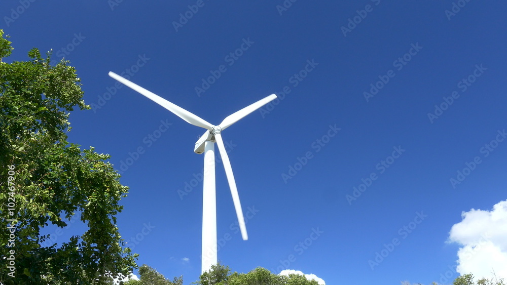 Beautiful Wind Turbines Generating Electricity with blue sky background in Thailand :Ultra-HD 4K High quality footage size (3840x2160) Beautiful Wind Turbines Generating Electricity with blue sky background in Thailand :Ultra-HD 4K High quality footage size (3840x2160)
