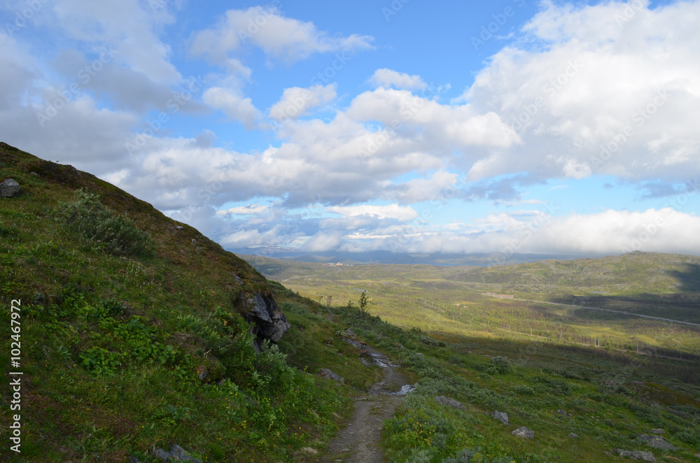 Rocks and hiking trail in tundra in subarctic Swedish Lapland