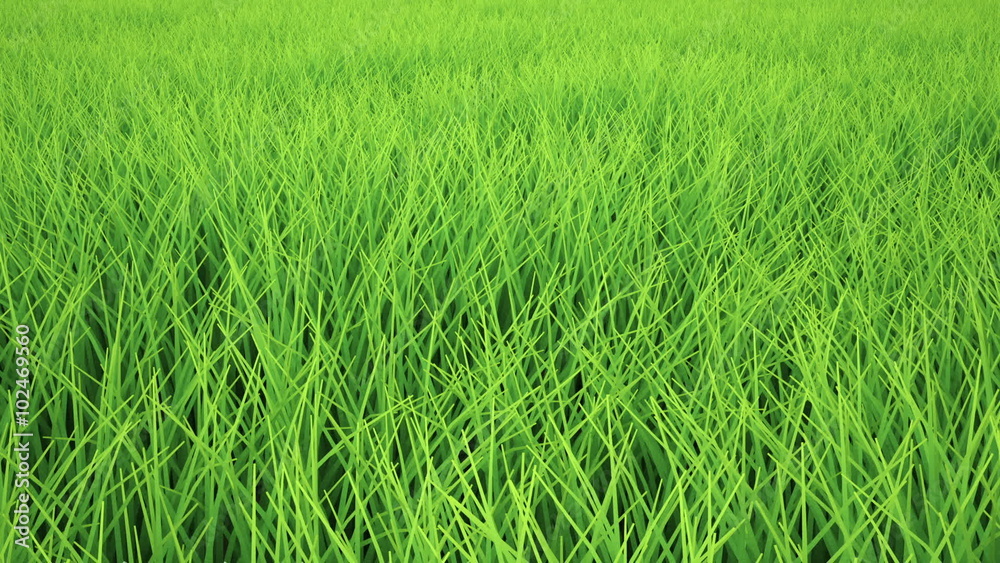 Low flight over grass field Low flight over grass field