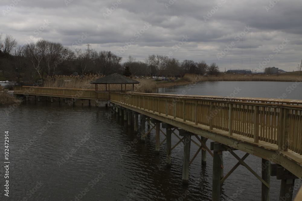 WETLAND IN NEW JERSEY