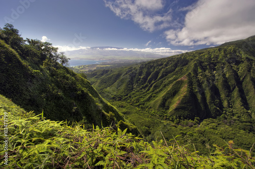 Waihee Ridge Trail, over looking Kahului and Haleakala, Maui, Hawaii Fototapet