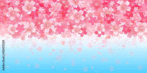 桜　春　花　背景