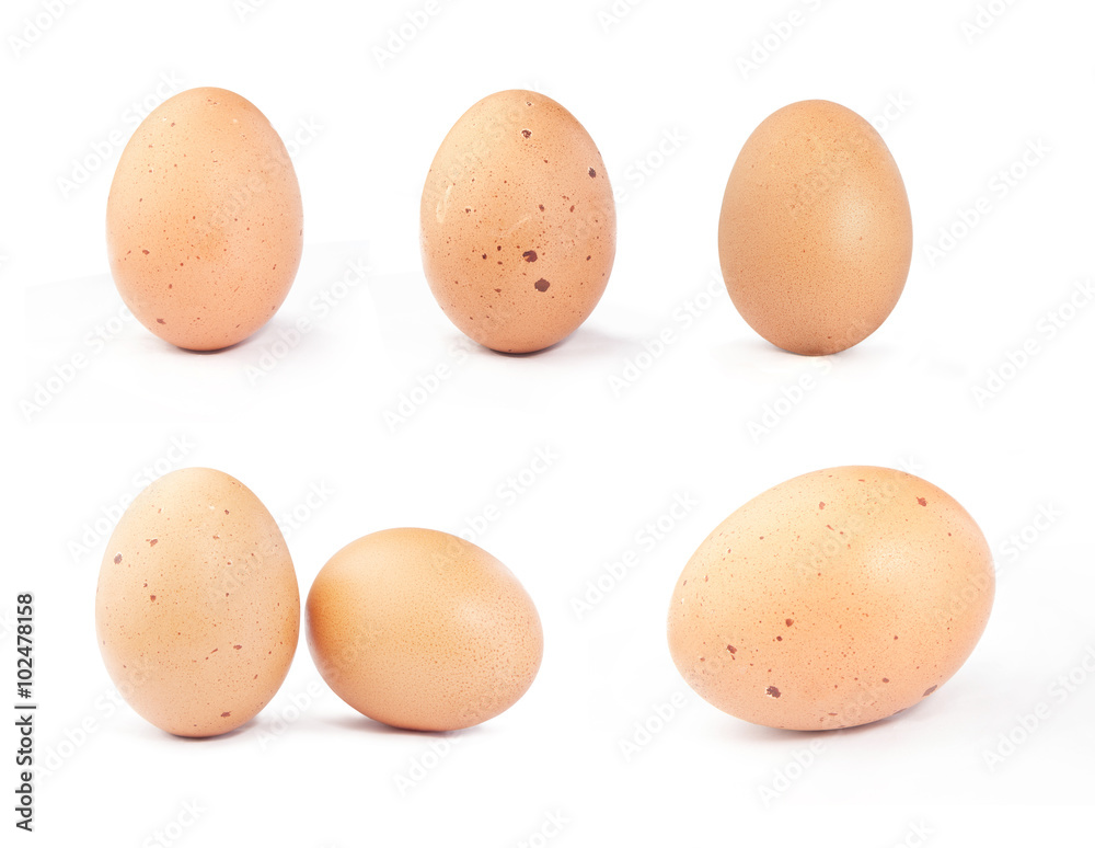 Eggs on white background Eggs on white background